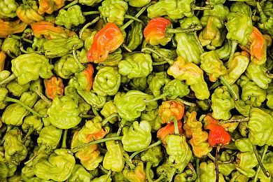 《点老救世记 - dotAGE》现已支持简体中文